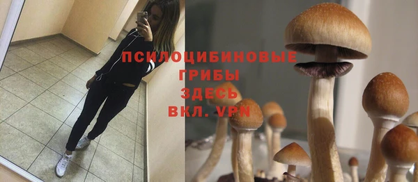 2c-b Михайловск