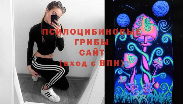 2c-b Михайловск