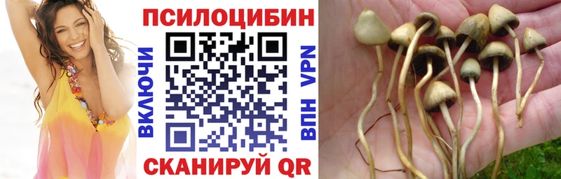 Галлюциногенные грибы Magic Shrooms  Купить где  Муравленко 